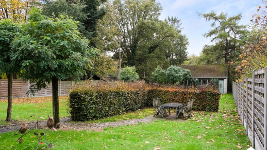 Dennenweg - 36 - - 3520