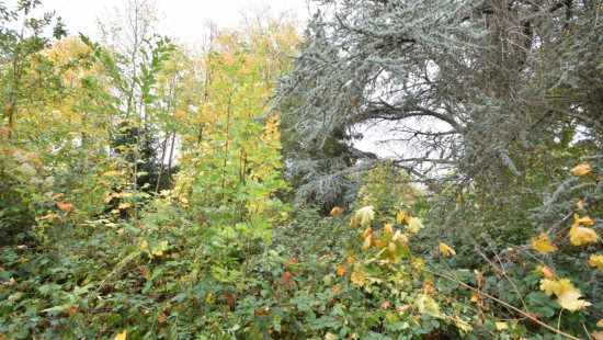 Berkendreef - 7 - - 3380