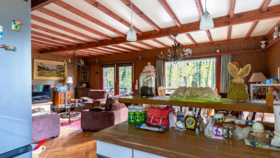 Chemin des Bouleaux - 170 - - 5377