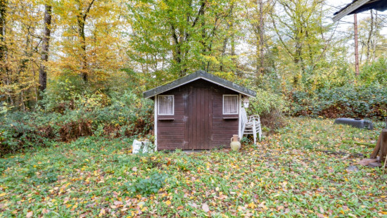 Chemin des Bouleaux - 170 - - 5377