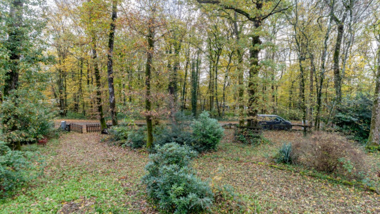 Chemin des Bouleaux - 170 - - 5377