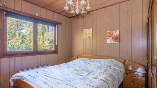 Chemin des Bouleaux - 170 - - 5377