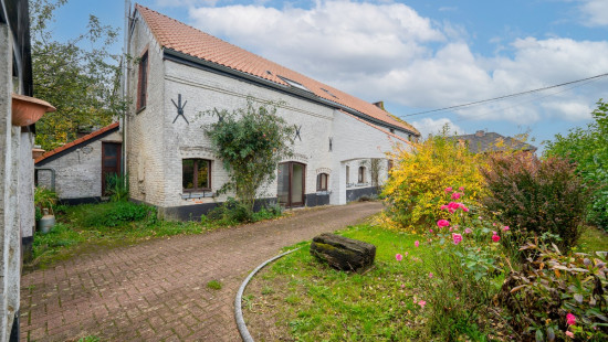 Rue du Monty - 10 - - 5032