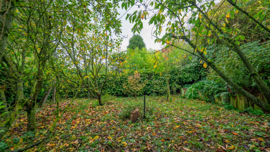 Rue du Monty - 10 - - 5032