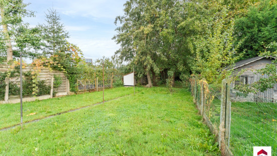 Palingstraat - 23 - - 8780