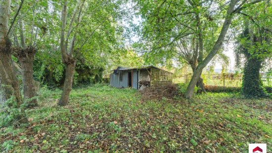 Palingstraat - 23 - - 8780