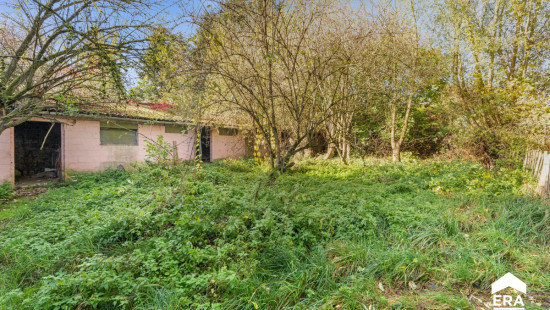 Zoutleeuwstraat - 13 - - 3404