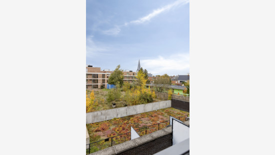 Holstraat - 11 - 21 - 3550