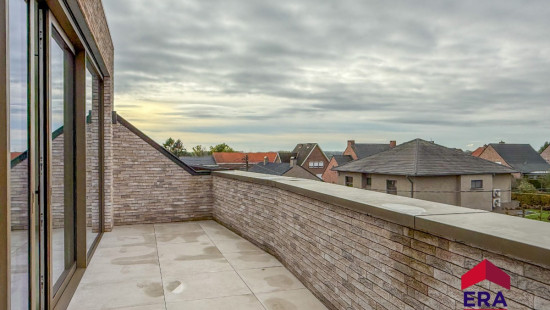 Ganzendries - 6 - 3 - 3300