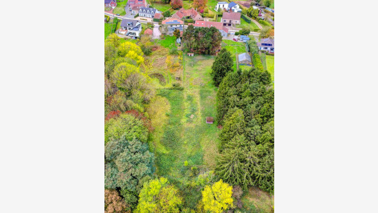 Bollestraat - 69 - - 3090