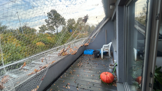 Oude Brugstraat - 12 - bus 6 - 3910