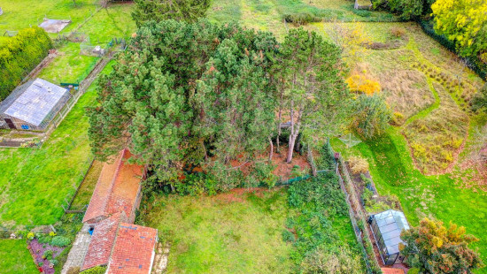 Bollestraat - 69 - - 3090