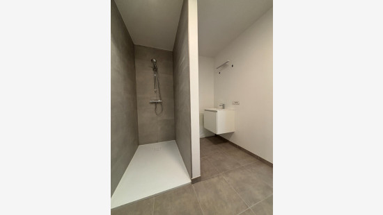 Molenstraat - 50 - - 8340