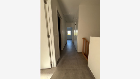 Molenstraat - 50 - - 8340