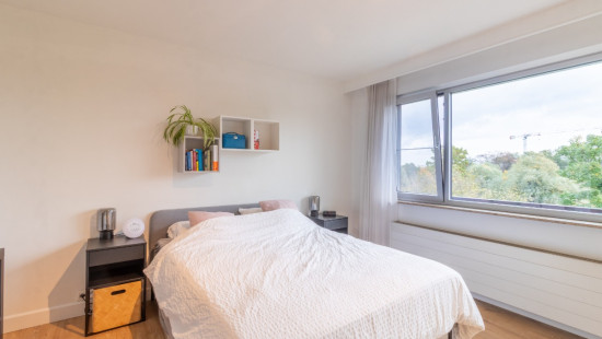 Nieuwdreef - 117 - 501 - 2170