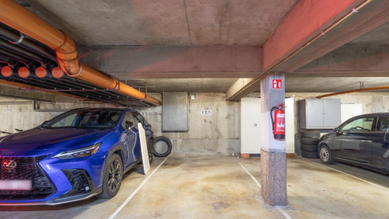 Nieuwdreef - 117 - 501 - 2170