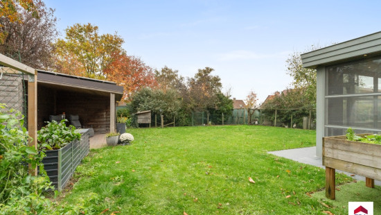 't Hoge - 9 - - 8700