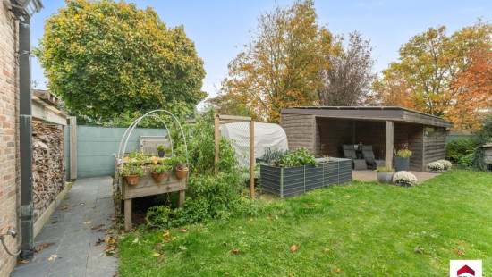 't Hoge - 9 - - 8700