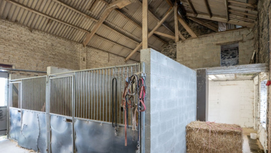 Rue du Vivier - 30 - - 6690