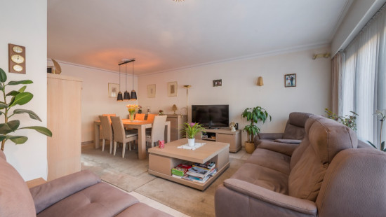 Ferdinand Pauwelsstraat - 49 - - 2180