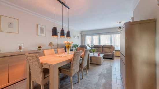 Ferdinand Pauwelsstraat - 49 - - 2180