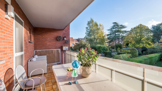 Ferdinand Pauwelsstraat - 49 - - 2180