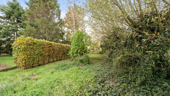 Staakstraat - 21 - - 9960