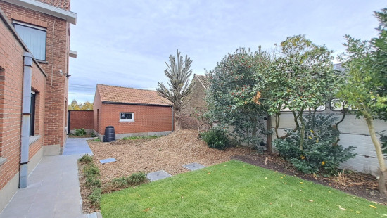 Blauwhuisstraat - 1 - - 8531