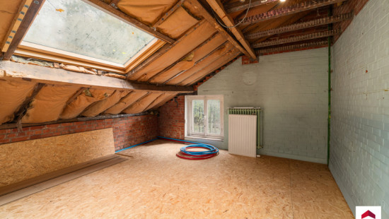 Drève du Corps de Garde - 13 - - 7850