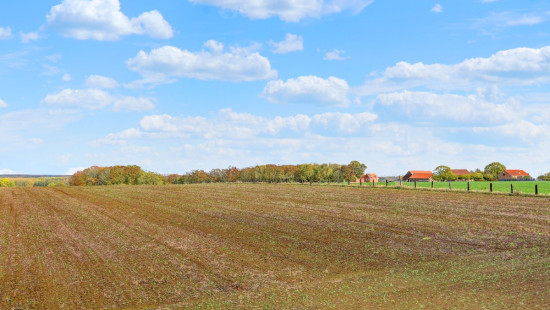 Driesstraat - 65 - - 3461