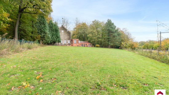 Drève du Corps de Garde - 13 - - 7850