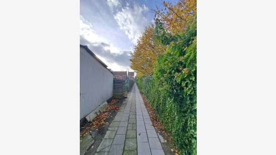 Lieven Bauwensstraat - 24 - - 8570