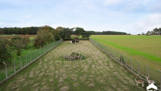 Beringenbaan - 34 - - 3290