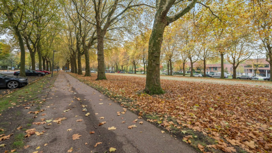 August Vermeylenlaan - 1 - 42 - 2050