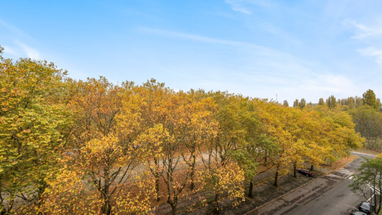 August Vermeylenlaan - 1 - 42 - 2050