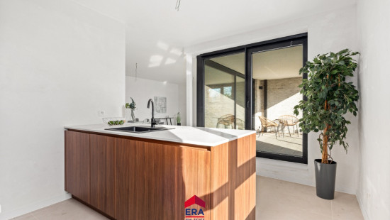 Hezerpad - ZN - - B1.21 - 3920