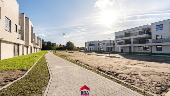 Hezerpad - ZN - - B1.21 - 3920