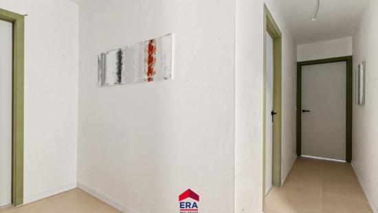 Hezerpad - ZN - - B1.21 - 3920