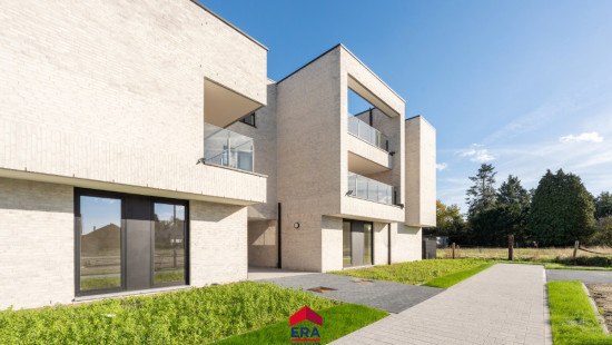 Hezerpad - ZN - - B1.21 - 3920