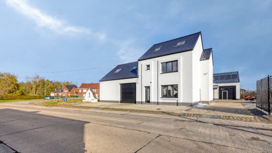 Verdaelstraat - 113 - - 3450