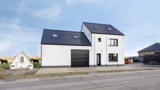 Verdaelstraat - 113 - - 3450