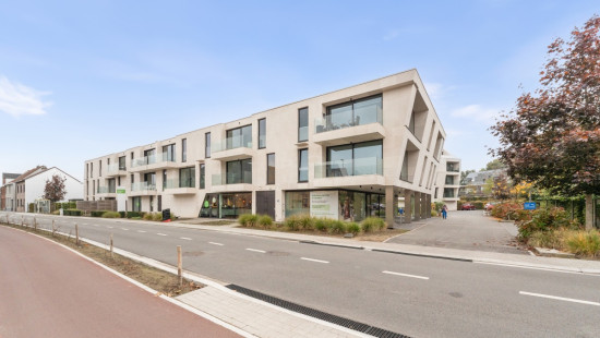 Sint-Amandsesteenweg - 107 - 305 - 2880