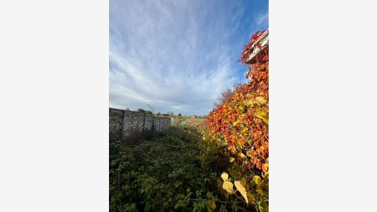 Weggevoerdenstraat - 11 - - 8972