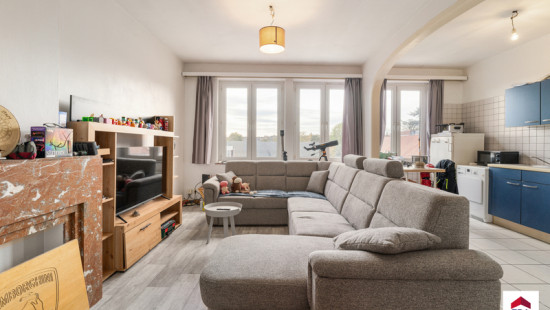 Steenweg op Drogenbos - 263 - - 1620