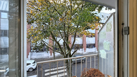 Rue de la Loi - 29 - 11 - 4020