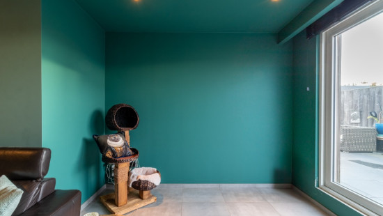 Peter Benoitstraat - 15-17 - - 2850