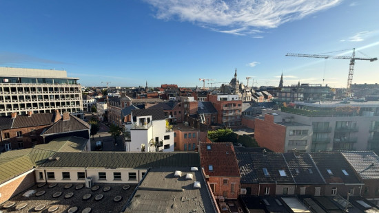 de Schiervellaan - 28 - 13 - 3500