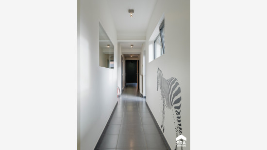 Lauwstraat - 101 - - 319 F P00007 - 3700