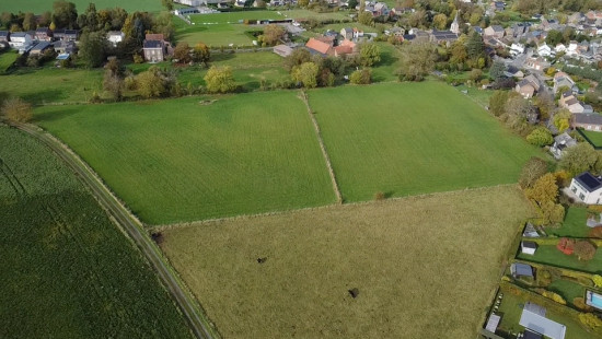 Chemin de la Paix de Dieu - 1 - - 4530