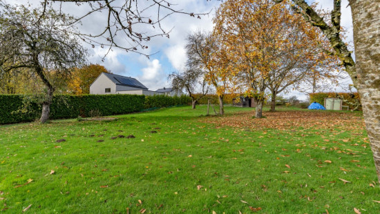 Rue du Vieux Chêne - 1 - a - 6687